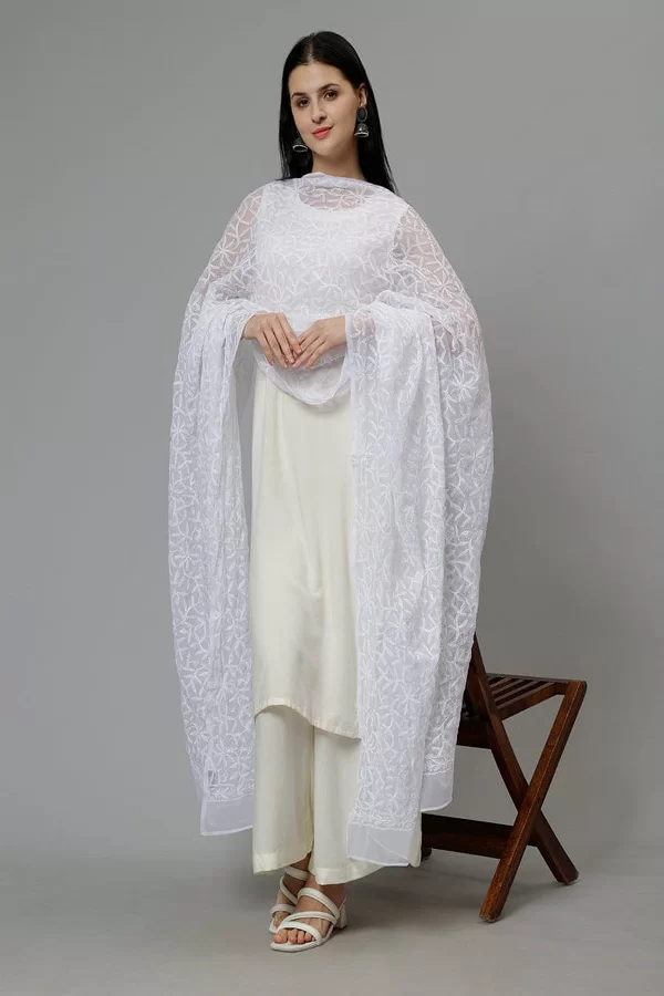 Chiffon Chikankari tepchi duppatta